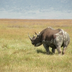 Thumbnail of post image 100