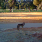 Thumbnail of post image 057