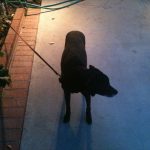 Thumbnail of post image 144