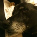 Thumbnail of post image 187