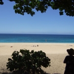 Thumbnail of post image 057