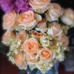 Thumbnail of post image 115