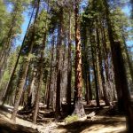 Thumbnail of post image 054