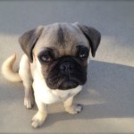 Thumbnail of post image 126