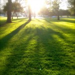 Thumbnail of post image 061