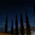 Thumbnail of post image 110