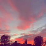 Thumbnail of post image 133