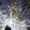 Thumbnail of new posts 024