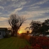 Thumbnail of new posts 071