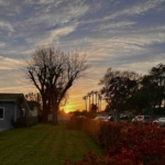 Thumbnail of post image 030