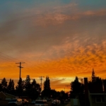 Thumbnail of post image 184